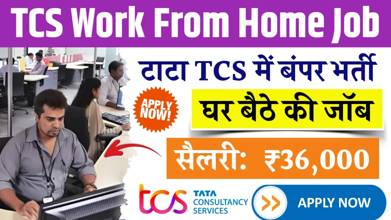 TCS Work From Home Job 2024